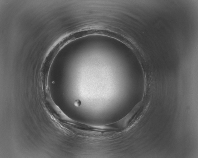 X0000078281118200611031201