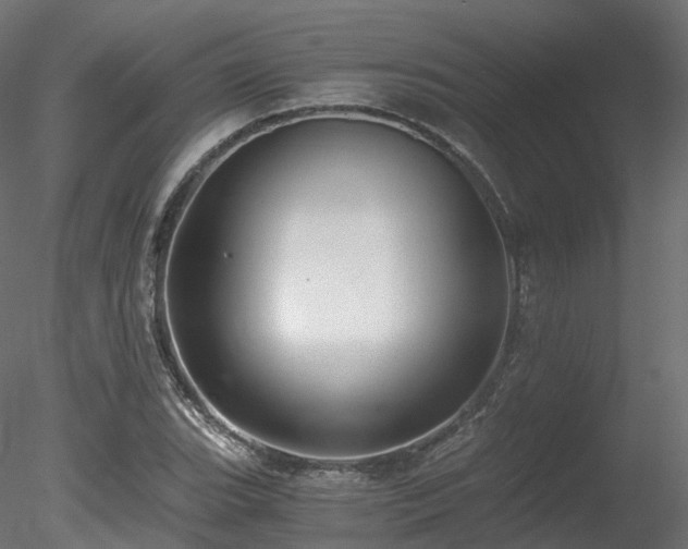 X0000078281119200611031201