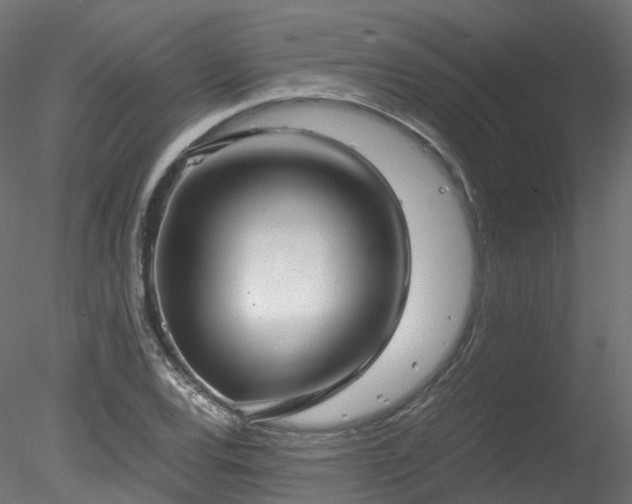 X0000078281120200611031201