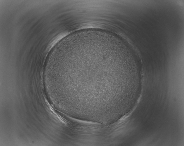 X0000078281121200611031201