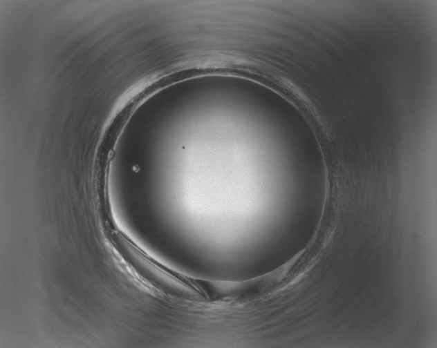 X0000078281122200611031201