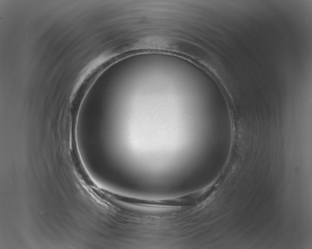 X0000078281123200611031201