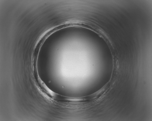 X0000078281124200611031201