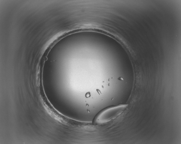 X0000078281126200611031201