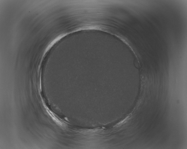 X0000078281127200611031201