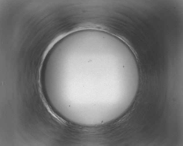 X0000078281128200611031201