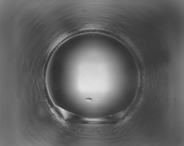 X0000078281129200611031201