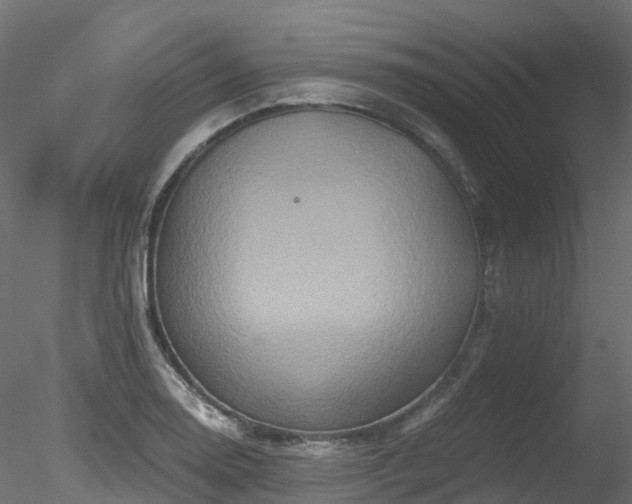 X0000078281130200611031201