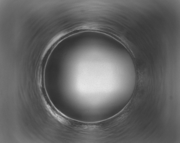 X0000078281131200611031201