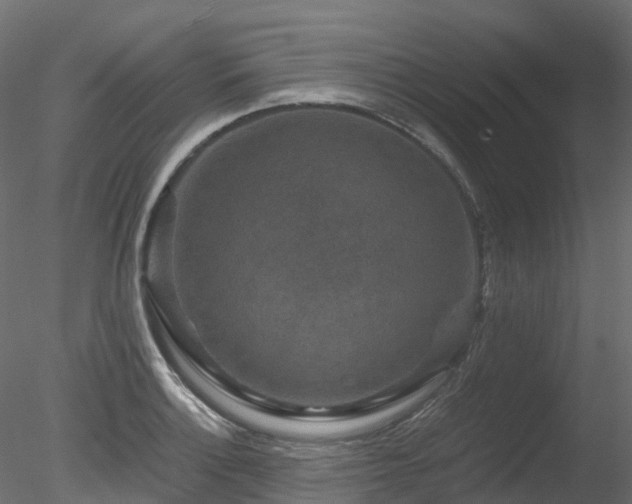 X0000078281132200611031201