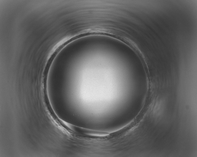 X0000078281133200611031201