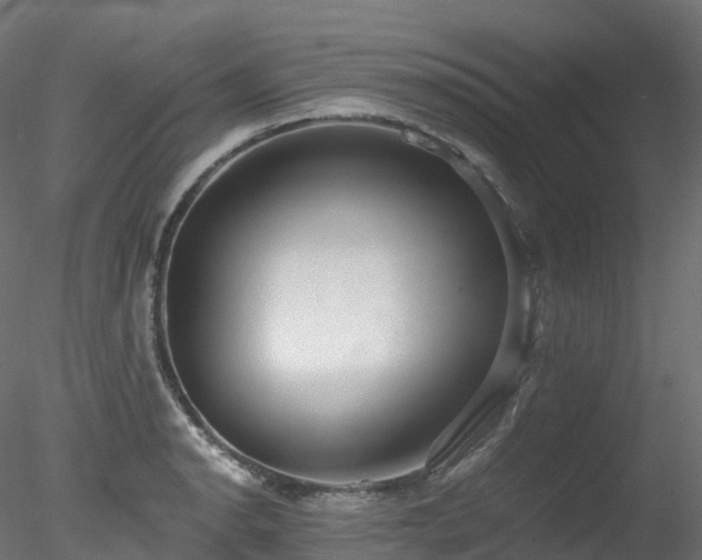 X0000078281134200611031201