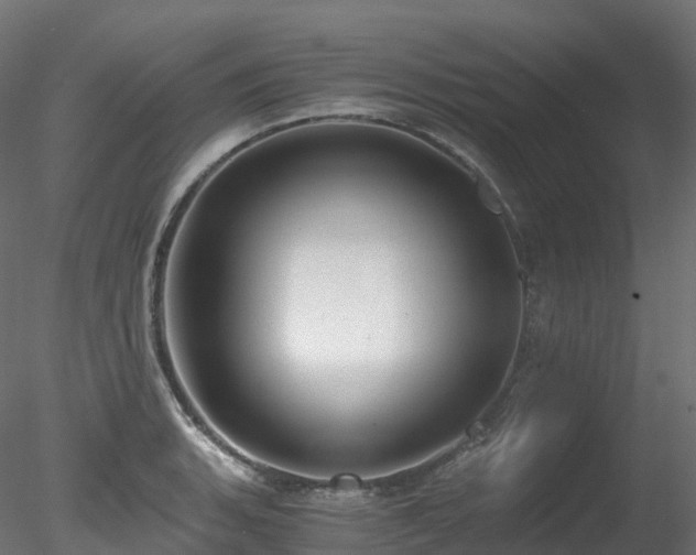 X0000078281135200611031201