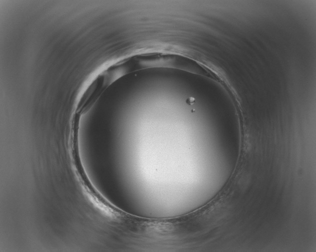 X0000078281136200611031201