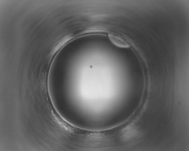 X0000078281137200611031201