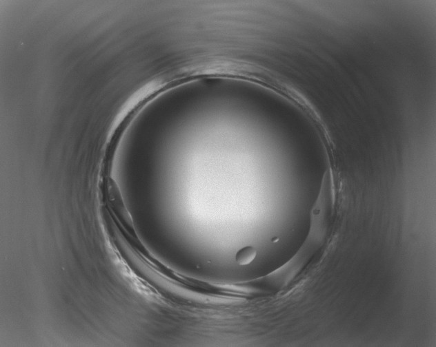 X0000078281138200611031201