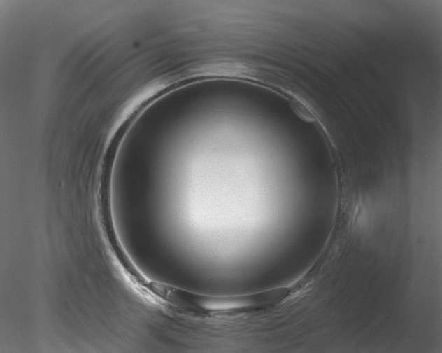 X0000078281139200611031201