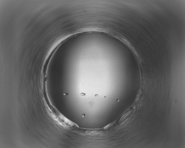 X0000078281140200611031201