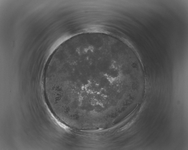 X0000078281141200611031201