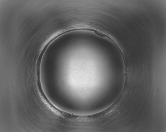 X0000078281142200611031201