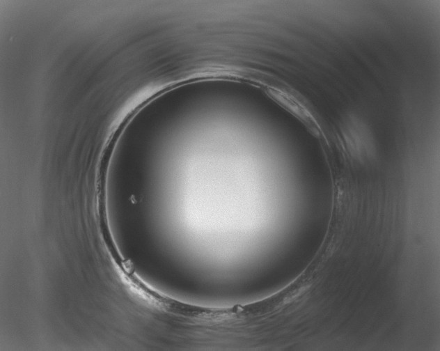 X0000078281143200611031201