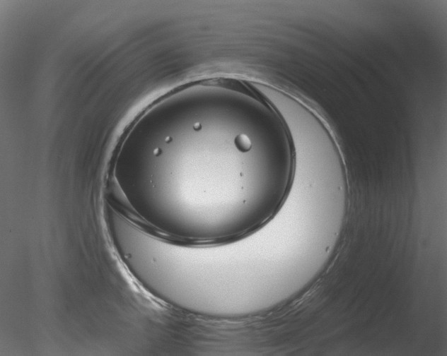 X0000078281144200611031201