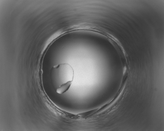 X0000078281146200611031202