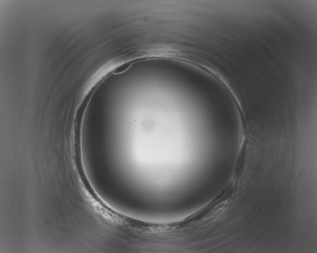 X0000078281147200611031202