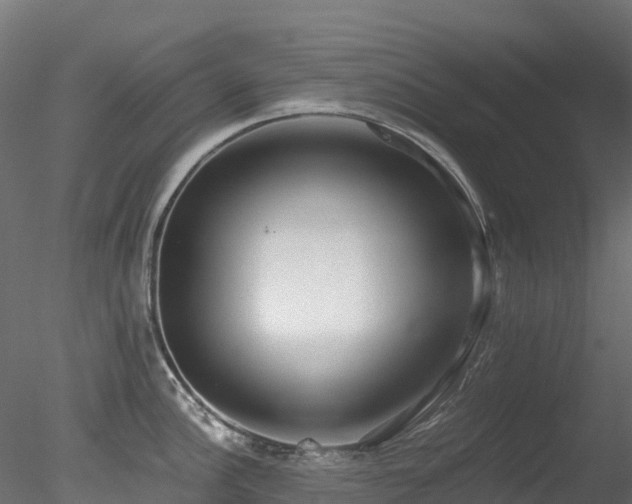 X0000078281148200611031202