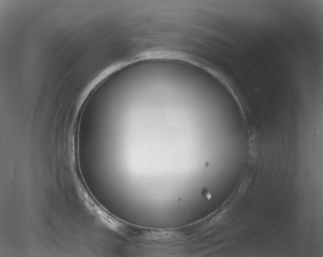 X0000078281150200611031202