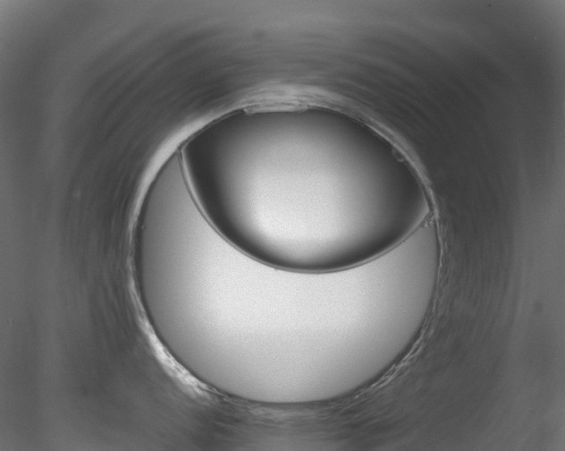 X0000078281152200611031202