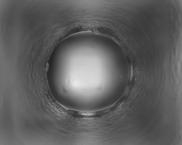 X0000078281153200611031201