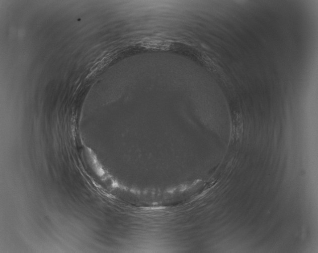 X0000078281154200611031201