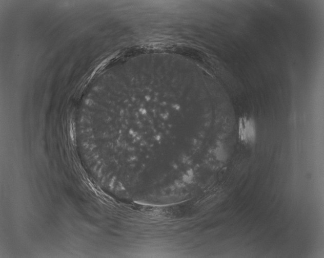 X0000078281155200611031201