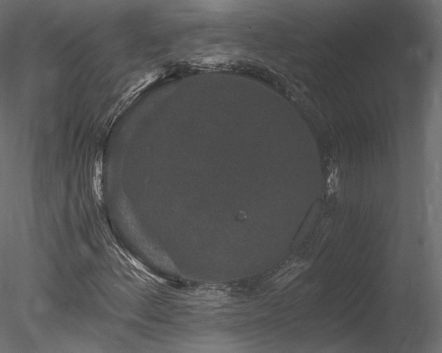 X0000078281156200611031201