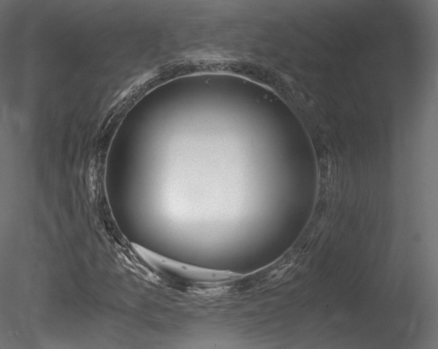 X0000078281157200611031201