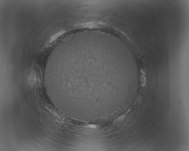 X0000078281158200611031201