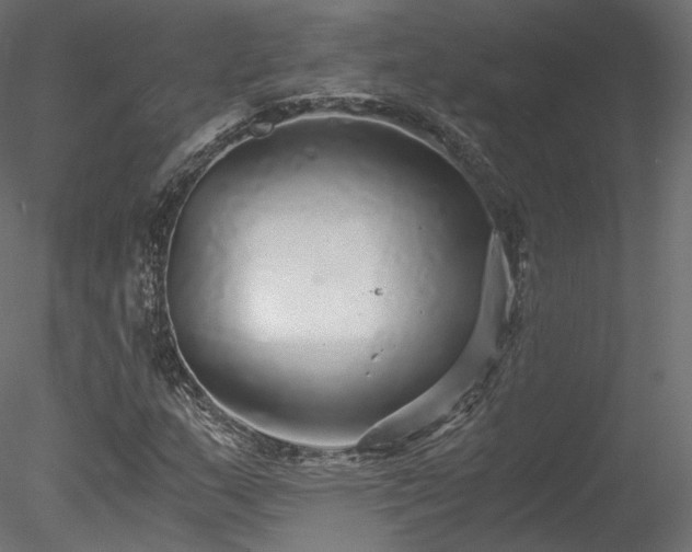 X0000078281159200611031201