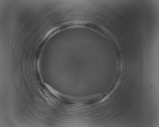 X0000078281161200611031201