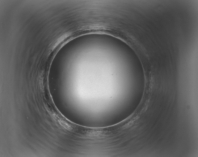 X0000078281162200611031201