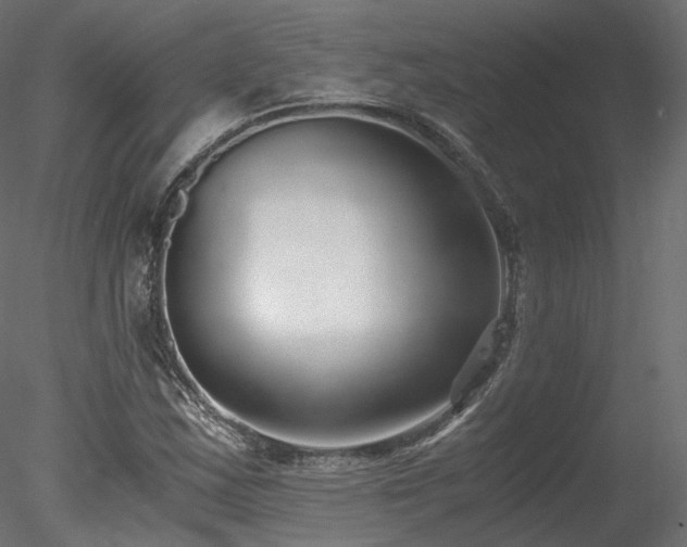 X0000078281163200611031201