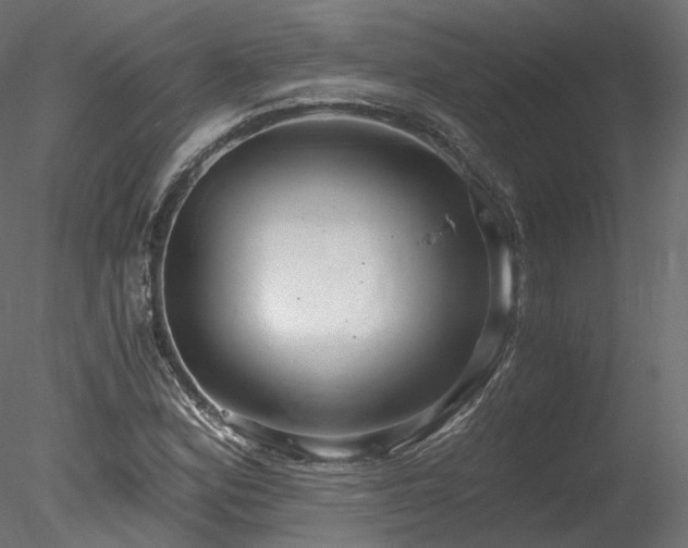 X0000078281164200611031201