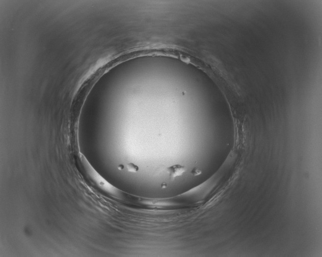 X0000078281165200611031201