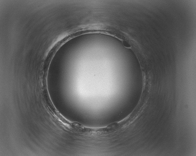 X0000078281166200611031201