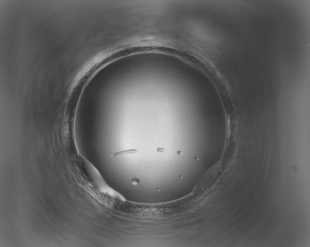 X0000078281167200611031201