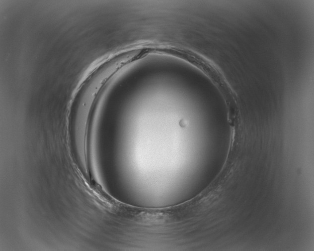 X0000078281168200611031201