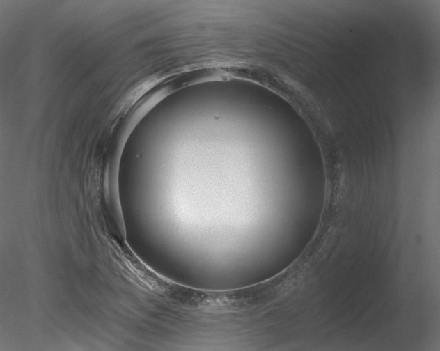 X0000078281169200611031201