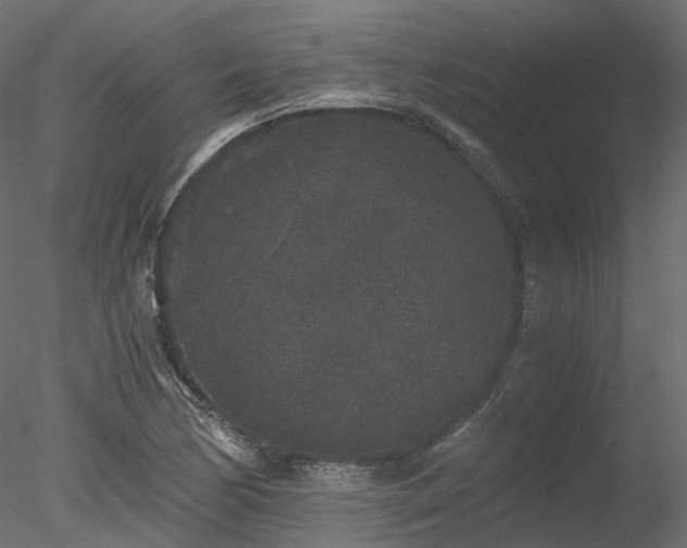 X0000078281170200611031201