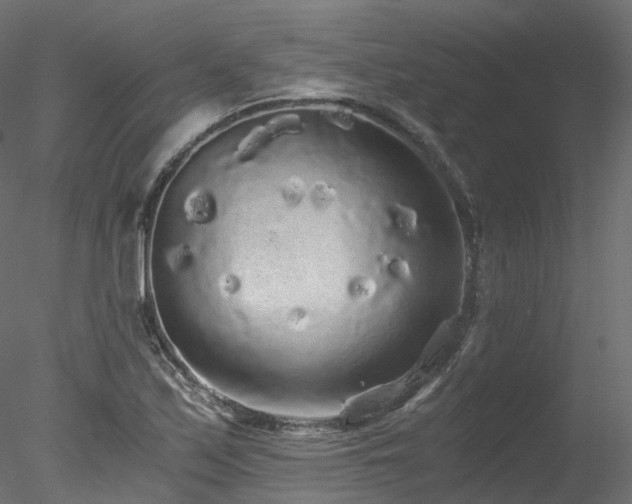 X0000078281171200611031201