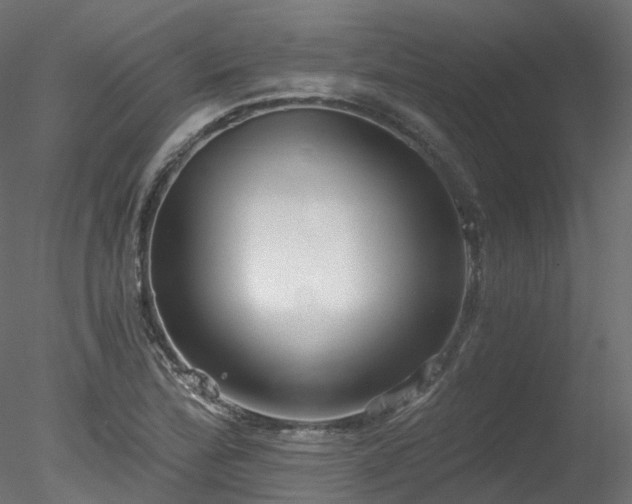 X0000078281172200611031201